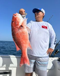 Exciting 4-Hour Offshore Morning Trip