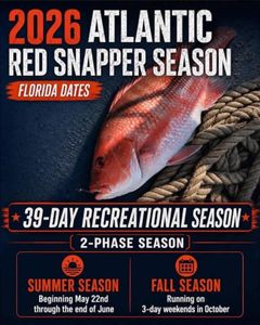 Snapper Season Dates Are Filling Fast