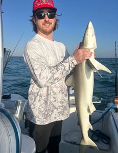 Thrilling Nearshore Fishing Expedition with Top Notch Adventures