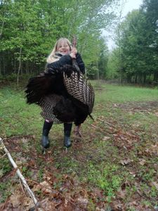 Spring Turkey Hunts Now Booking with Expert Guides