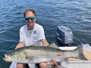 Striped Bass are biting!