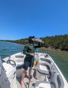 Striped Bass & Salmon: Top-Rated Boston Inshore Fishing Adventure