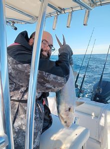 North Myrtle Beach – Amberjack Action!