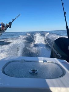 Blue Water Offshore Run