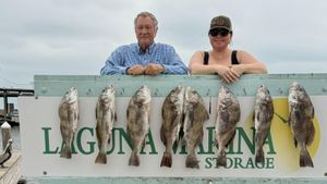Consistent Action on the Coast