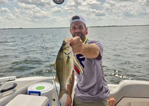 Winter Slabs and Trophy Blues: Rowlett TX Fishing Update