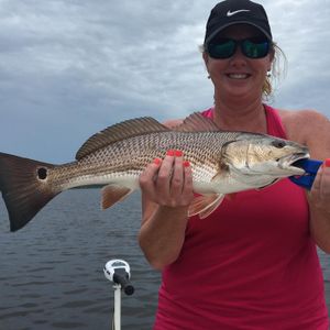 Best North Carolina Redfish Fishing