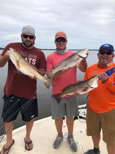 North Carolina Fishing for Redfish