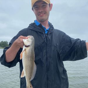 Best Redfish Fishing in North Carolina
