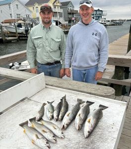 Great Morning Fishing