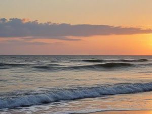 Things To Do in North Carolina