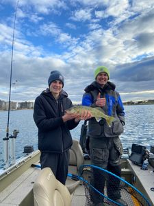 Walleye Fishing On Lake Huron