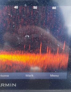 Lake St. Clair Walleye BEATDOWN