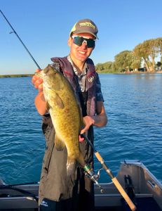 Smallmouth Bass Fishing On The St . Clair River