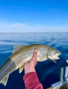Awesome Lake Trout Fishing On Lake Huron