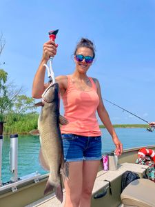 Big Catfish On A Lake St. Clair Charter