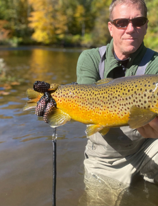 Where Going To Catch The Big Fishes in seaa