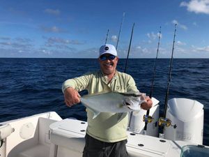 Amberjacks in Atlantic City