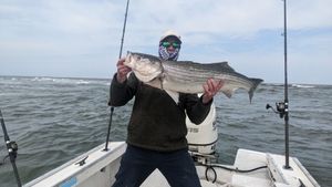 Striped Bass fishing in Brigantine, NJ