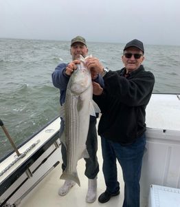 Striped Bass Fishing in Atlantic City, NJ