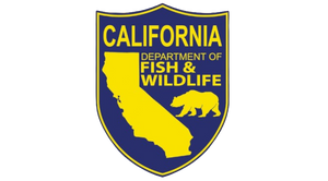Get Your Valid California Fishing License