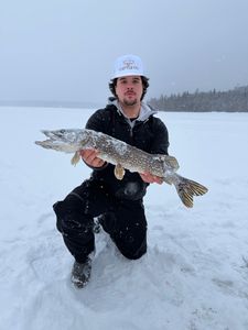 Get Your Valid New York State Fishing License