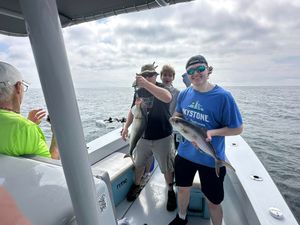 Vermilion Snapper Limit and Amberjack Action