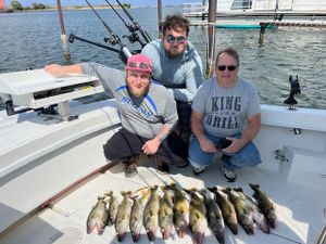 Lake Erie Walleye: Anglers Dream