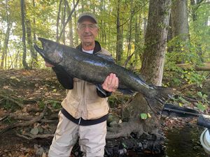 Solid Summer Action with Early Kings and Feisty Steelhead