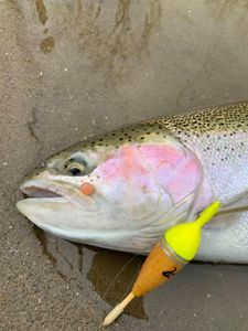 Get Ready for Trout Opening Day — Book Your Spot for Exciting River Action This Spring!