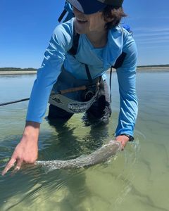Fish-Species