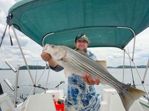 Hot Bite on the Water – Book Your Trip Today!