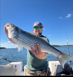 Fall Bite Is Starting to Heat Up