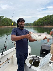 Lake Lanier Striped Bass Action