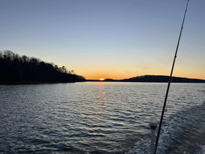 Cumming Fishing Report 