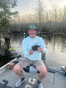 Morning Action on Lake Santee Cooper