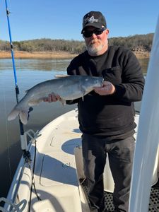 Steady Morning Bite with Quality Keeper Fish
