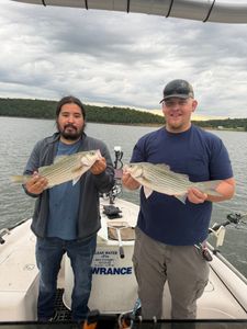 Damien and William reached their limits fast with a few catfish mixed in for a solid day on the water.