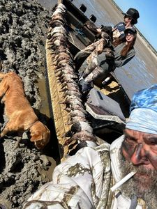 Full flounder lineup