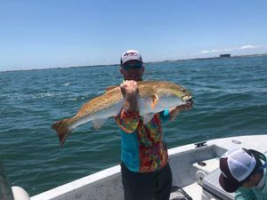 Calm Waters, Consistent Action on the Flats