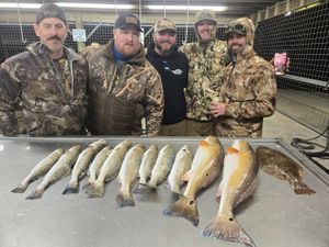 Afternoon Inshore Fishing Success with No Slack Guide Service