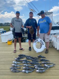 Dive into the Action - Ocean City, MD Fishing Charter Gallery!