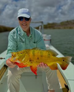 Lake Ida Peacock Bass Fishing Guide