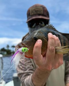 Get Your Valid Florida Fishing License 