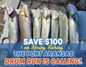 Save $100 on Spring Fishing: The Port Aransas Drum Run is Calling
