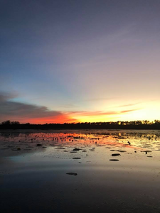 Things To Do In Texas