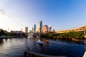 Things To Do In Tampa, FL