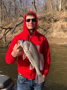 Oklahoma Fishing Guides: Your Path to Victory