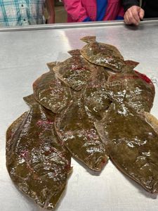 Night Fishing For Flounder