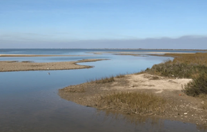 Get Your Valid Texas Fishing License 